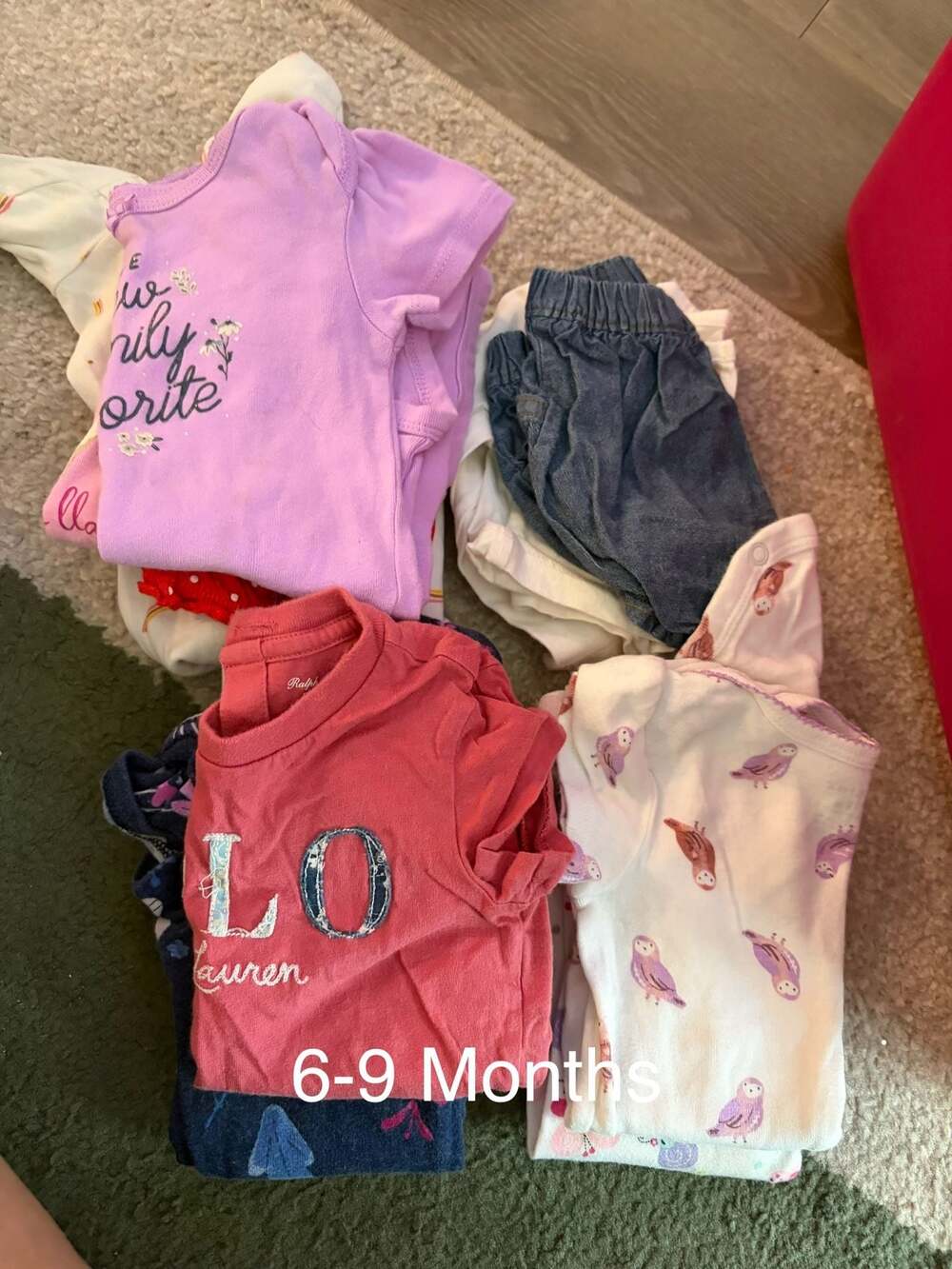Baby Girl Assorted Bodysuit and Clothing Bundle (6-9 Months)